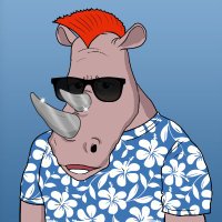 undefined $DUEL (@mxacademypro) 's Twitter Profile