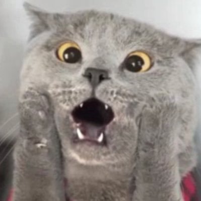 Tse10B's profile picture. HODL🥇🏆🙌