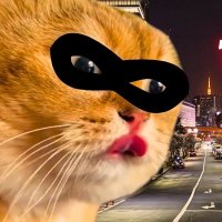 The Cats Empire Strikes Back(@Thecatsempire) 's Twitter Profile Photo