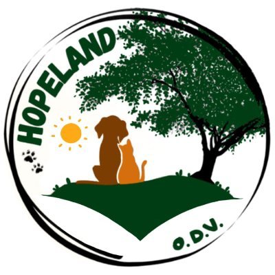 HOPELAND ODV è un organizzazione di promozione e difesa per animali in cerca di famiglia.
☎️351 3013332 
📧hopelandodv@gmail.com
https://t.co/U9LEW8VObx