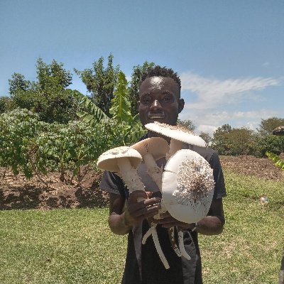 A Forest Farmer,  Certified Permaculture Designer and Trainer.  
Currently working on creating a Sustainable and Resilient future for Rusinga Island Community