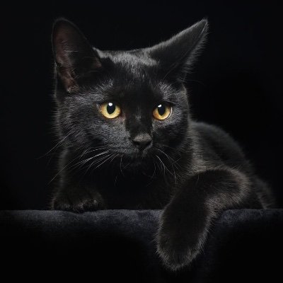 Socut82580197's profile picture. 