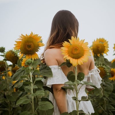 vivo immersa tra le parole dei libri e i girasoli