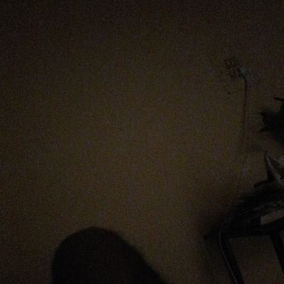 SajalDas884233's profile picture. 