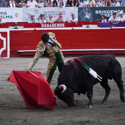 Nacido en Manizales Amante de la fiesta brava, la naturaleza y el arte