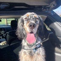 Benjamin Suchon (@bensuchon) 's Twitter Profile