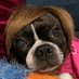 Kelli Lind (@kellindula) Twitter profile photo Kelli Lind (@kellindula) Twitter profile photo