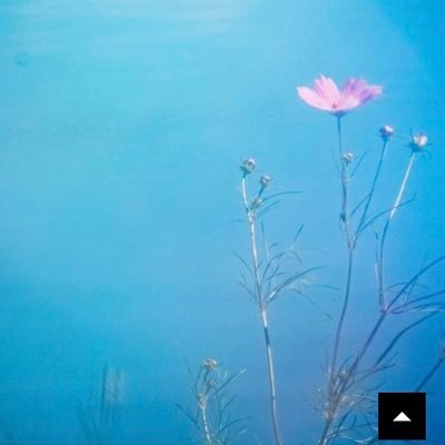 jV3Ppe6A9e23976's profile picture. 副業の情報収集をしています。無言フォロー失礼します🙇‍♀️