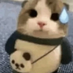 S4MI (@s4mi_cs) Twitter profile photo S4MI (@s4mi_cs) Twitter profile photo
