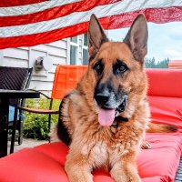 Zdad (@canipray4you) 's Twitter Profile