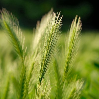 ycpkmei77's profile picture. お得情報好き✨NISA💹ポイ活🌟グルメ🍣お菓子🍫旅行🧳スポーツ観戦⚽よろしくお願いします😊