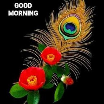 Krishna37099445's profile picture. 