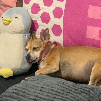 lisweetn's profile picture. 🎨