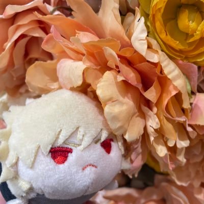 【ツイフ参照】 記載,お呼び頂く際は「とんとろ」のみで問題ありません(*ˊᵕˋ*)25↑↑ ★X使用不可の場合ヘッダーのインスタ宛てにお願い致します★