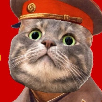 Soviet Cat Wif Hat. The ticker is $USSR. Join the revolution. Strong cat, strong country. CA: 6STDkftT2dejmNybrJvTEPpv5hMP7jBhj7734rnHPrqw