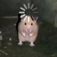 hunter (@hunter11255) 's Twitter Profile