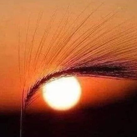स्वयं के वजूद की सार्थकता की तलाश में.....