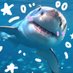 Shark (@Sharkrcute) Twitter profile photo