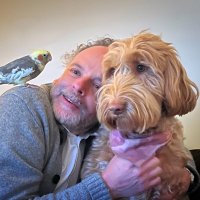 Dennis R Zoet (@dennisrzoet) 's Twitter Profile