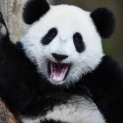 staackyfnbr's profile picture. 14 • 🇮🇹 | F/A | LFD