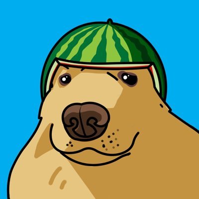 melondogcoin Profile Picture