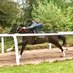 M.C THOROUGHBREDS (@mcthoroughbreds) Twitter profile photo M.C THOROUGHBREDS (@mcthoroughbreds) Twitter profile photo