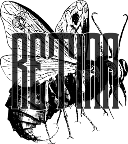 Retina Profile