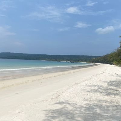 Drain55742747's profile picture. 