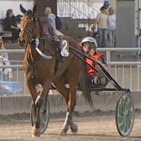 Thyself Stable (@stablethyself) 's Twitter Profile Photo