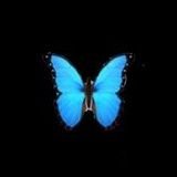 كود خصم ايهيرب (SHOP1) اوناس (TN129) نمشي (N44)👉 (@uq__u1) 's Twitter Profile