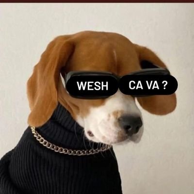 DRIKOLESKIMAU's profile picture. Parisiard/Banlieusien