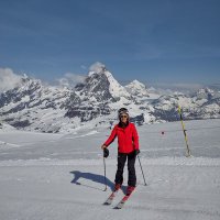 Lindapack๐๐๐๐๐ฑ (@lindagopackgo) 's Twitter Profile
