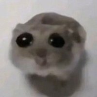 Klaury (@klaury__) 's Twitter Profile