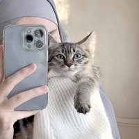 حفيدة عائشة المهتدية (@aisha_muslima11) 's Twitter Profile