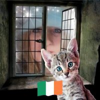 😎🇺🇲🏹⚓Kitty The Prepping Cat🇺🇸🏹⚓😎 (@kittyssuccess) 's Twitter Profile
