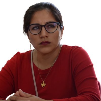 Madre, defensora #DDHH y representante de obreras de la Municipalidad de Lima

#Porky me despide por reclamar pago de remuneraciones
 (Expediente 17266-2023)