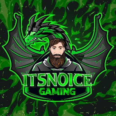 itsnoicegaming Profile Picture