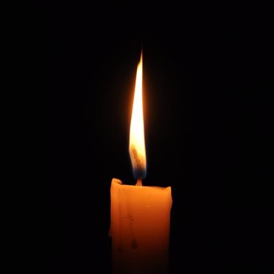 maru_koch's profile picture. #Husband, #Father, #loverOfTruth