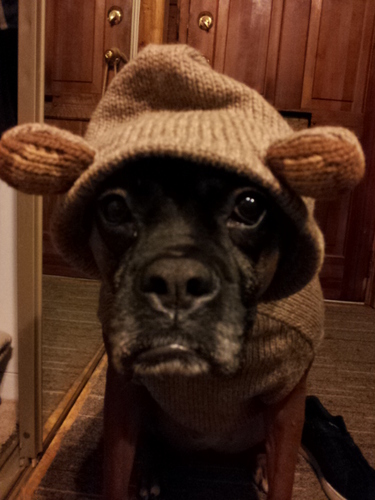 NapTorresOnline's profile picture. Food for growing minds lusting for knowledge, growth and sometimes useless information