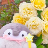 南国のコウペンちゃん(@penguinfry39) 's Twitter Profile Photo