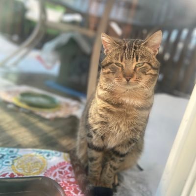 MyNameIsCat2021 Profile Picture