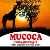 Mucoca Tours and Travel(@MucocaTours) 's Twitter Profileg