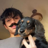 Matteo Carrasco (@matteo_carrasco) 's Twitter Profile