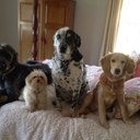 Evelyn Hoff - @NYC1978 - Twitter