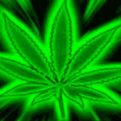 4IxeJhj2ldaAN7p's profile picture. 