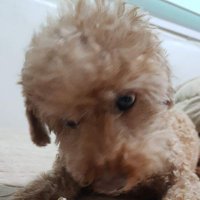 둠 (@qhrrn3131) 's Twitter Profile
