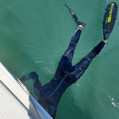 DawbornSigrid's profile picture. 