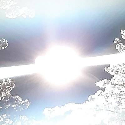 R_Rai_Rain's profile picture. 정혼경에서 남율 오너였던 테이라고 합니다! 잘부탁드리겠습니다!