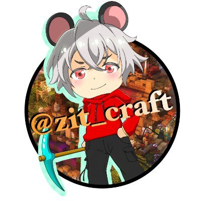 zit_craft Profile Picture