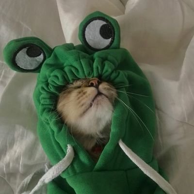 Simaniaac's profile picture. be smart